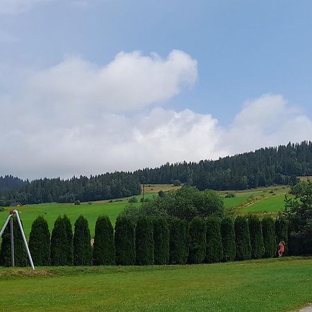 Pokoje Goscinne Budzowie Czarna Gora Luaran gambar