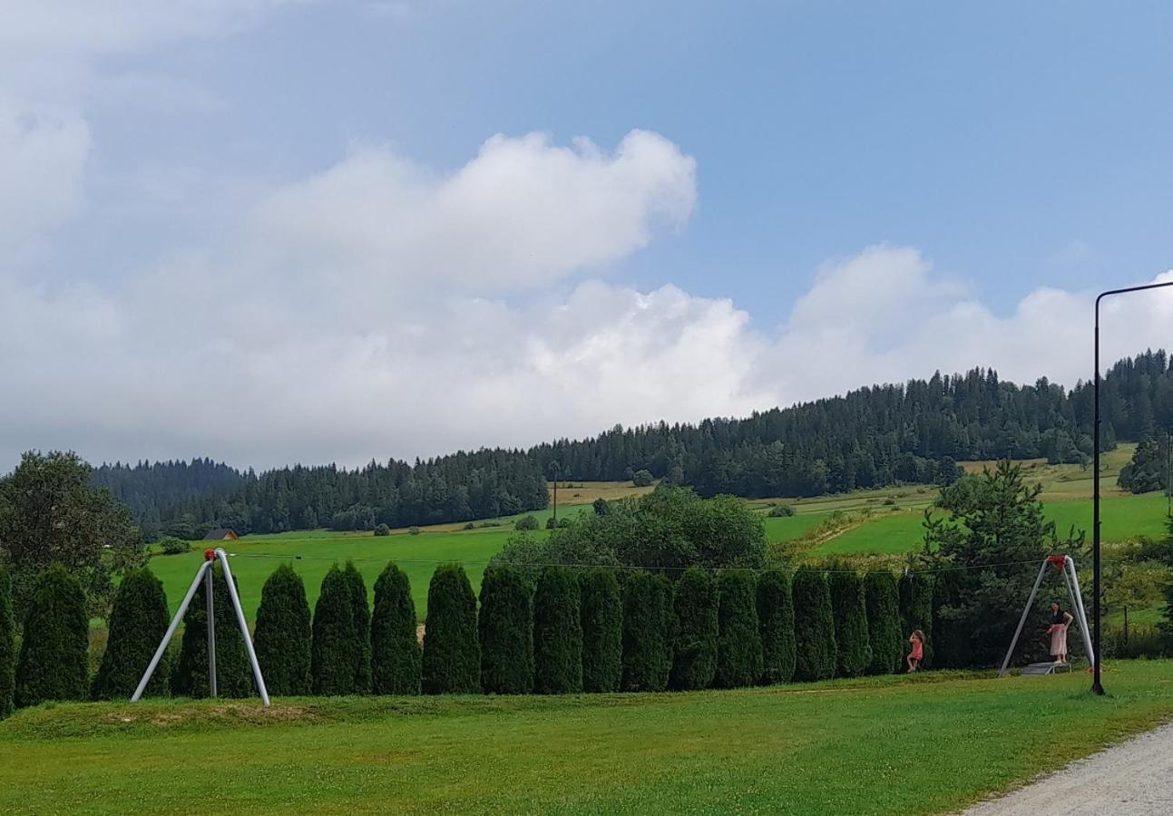 Pokoje Goscinne Budzowie Czarna Gora Luaran gambar